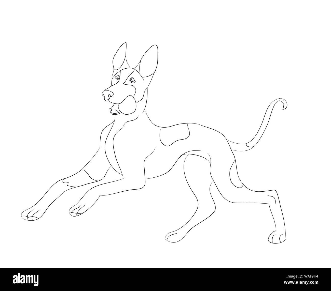 dog running, lines, vector, white background, vector Stock Vector Image