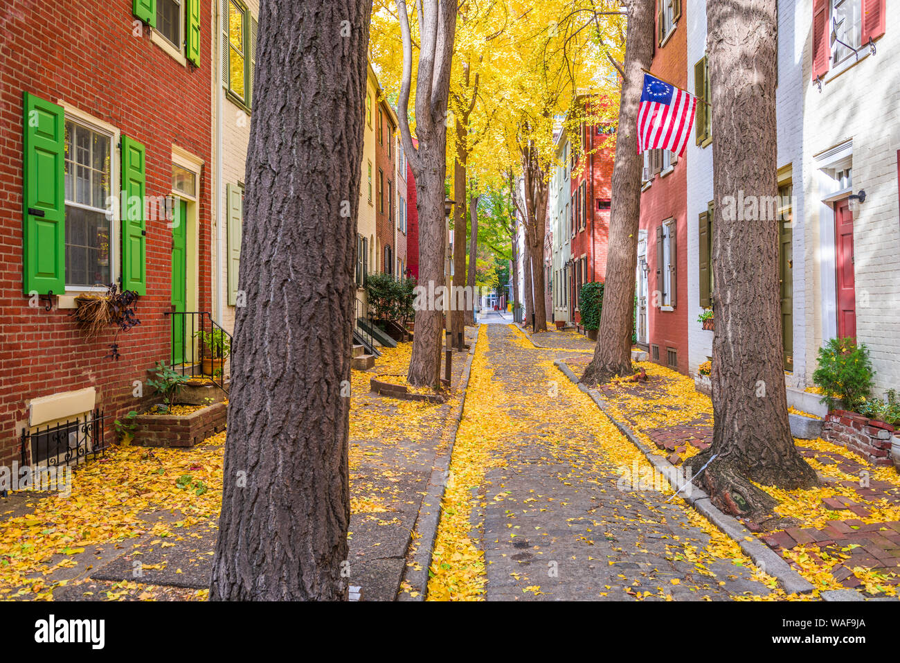 Autumn alleyway in Philadelphia, Pennsylvania, USA. Stock Photo