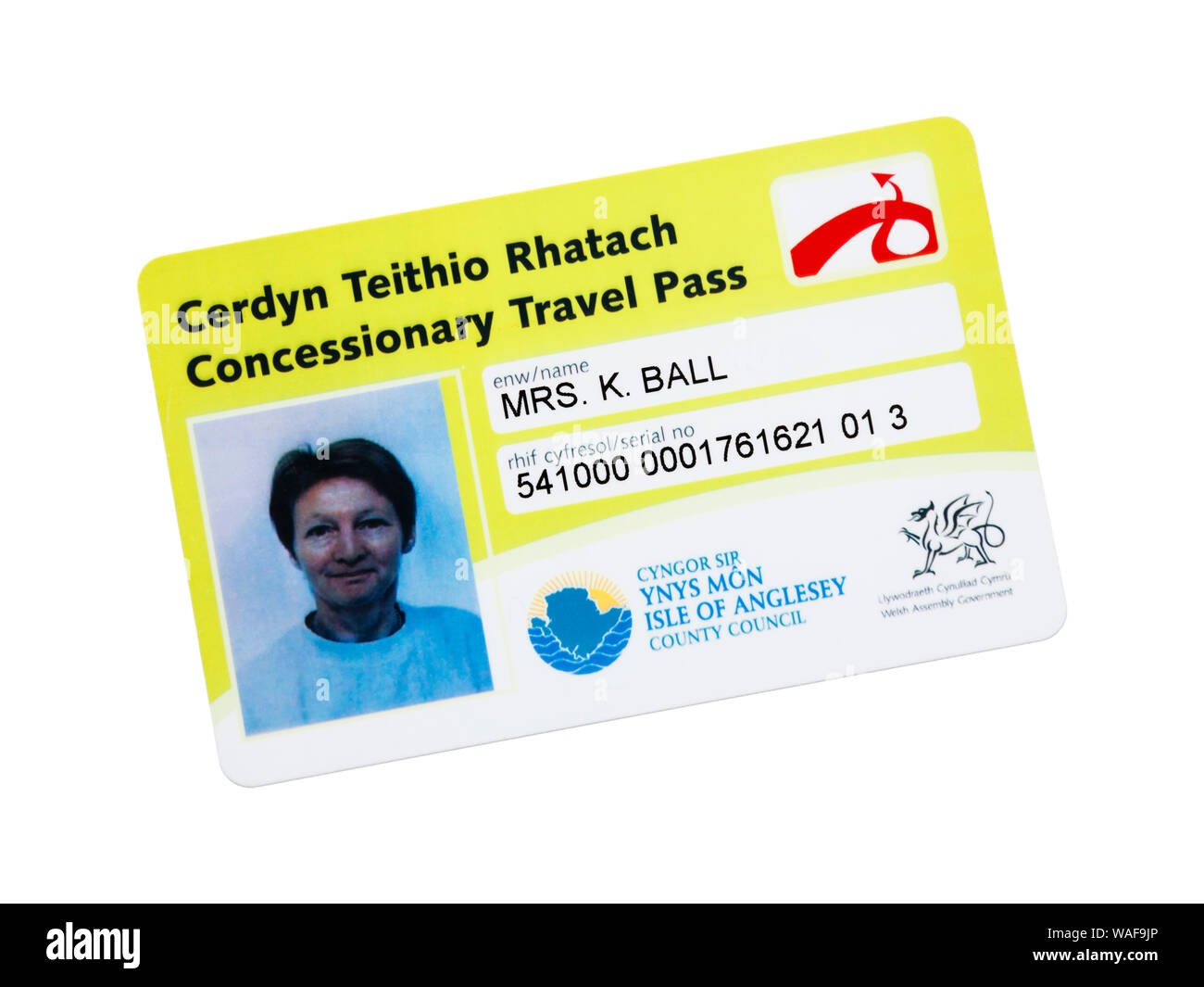 Welsh senior person's bus pass concessionary travel card with photo from local authority for free travel on buses in Wales. Anglesey Wales UK Britain Stock Photo