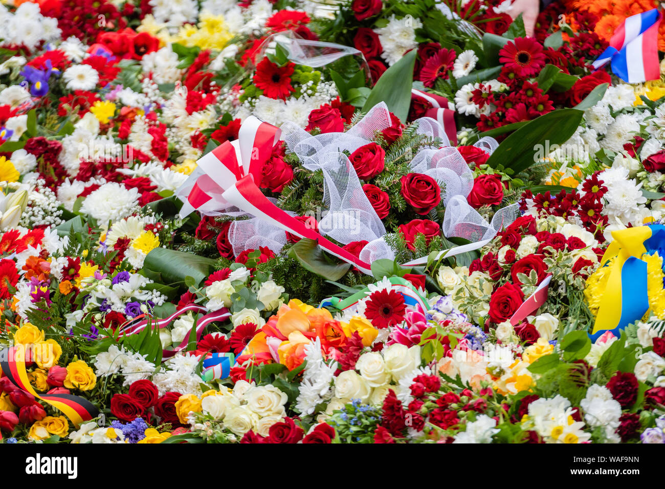 Flower bouquet with ribbon of Ukrainian flag. Dependence Day of the Ukraina Stock Photo