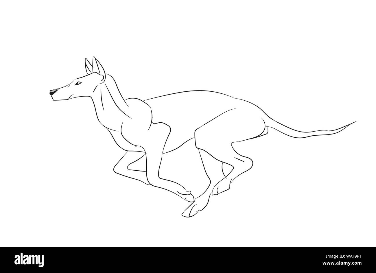 dog running, lines, vector, white background Stock Vector Image & Art