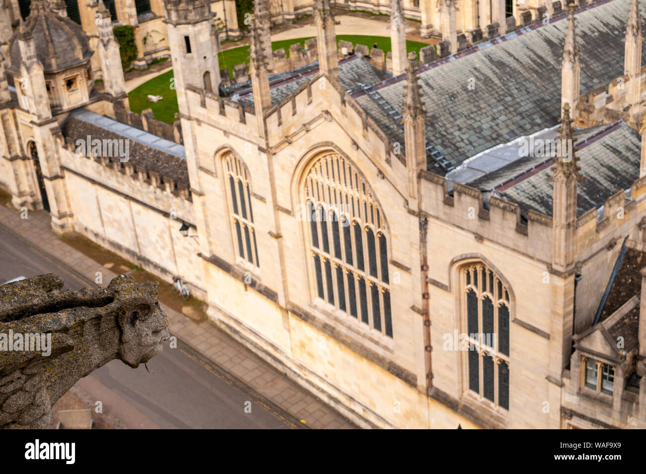 A high up view of Cattle street and the Codrington Library with a gargoyle / grotesque looking down. Oxford, England. Stock Photo