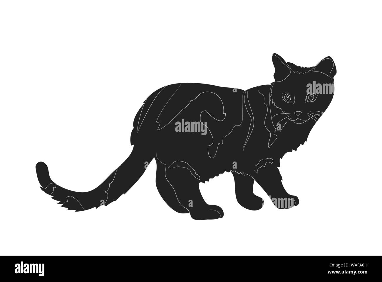drawing a cat silhouette vector, white background Stock Vector Image