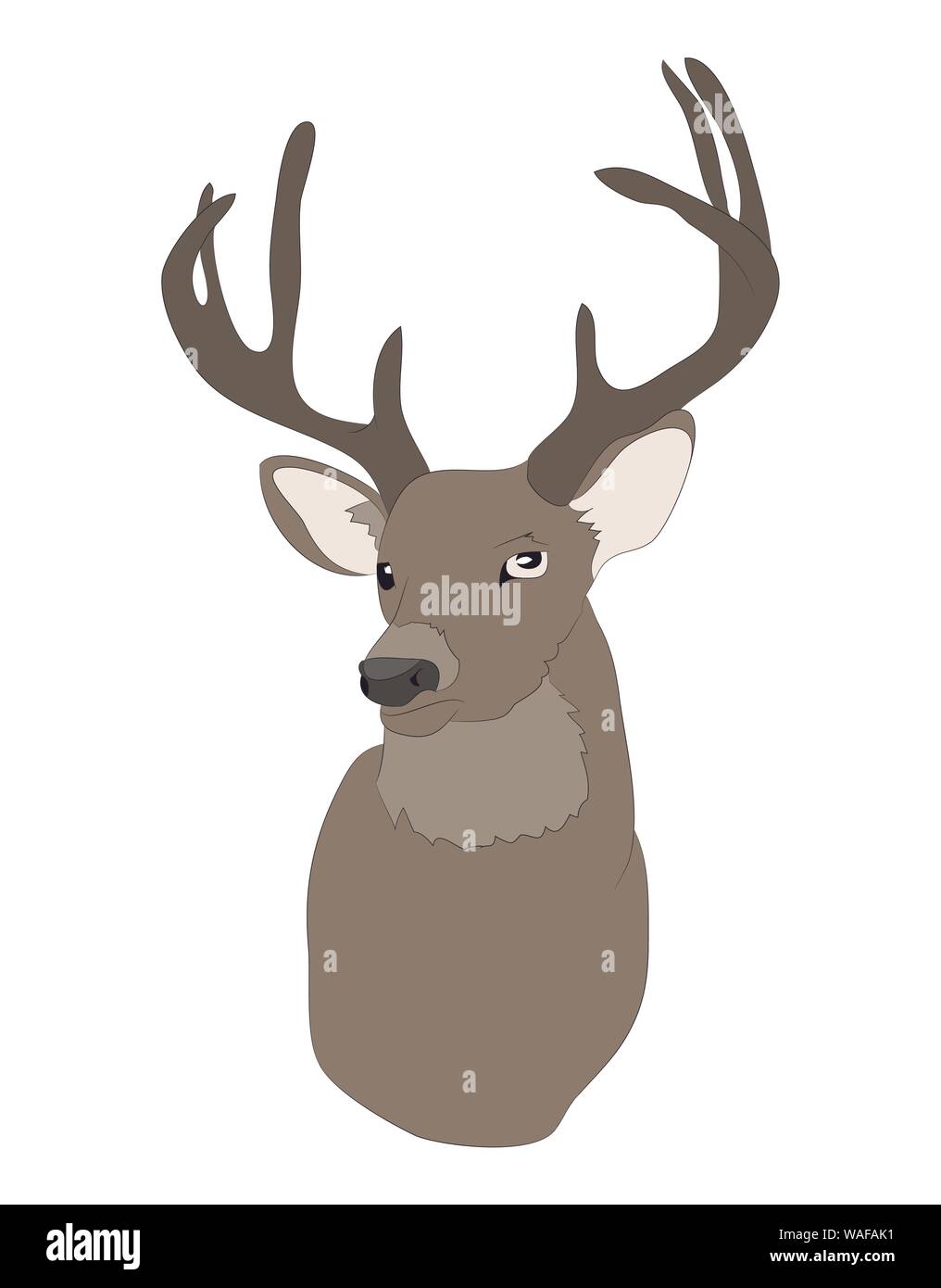 vector illustration deer portrait,color drawing, vector, white background Stock Vector