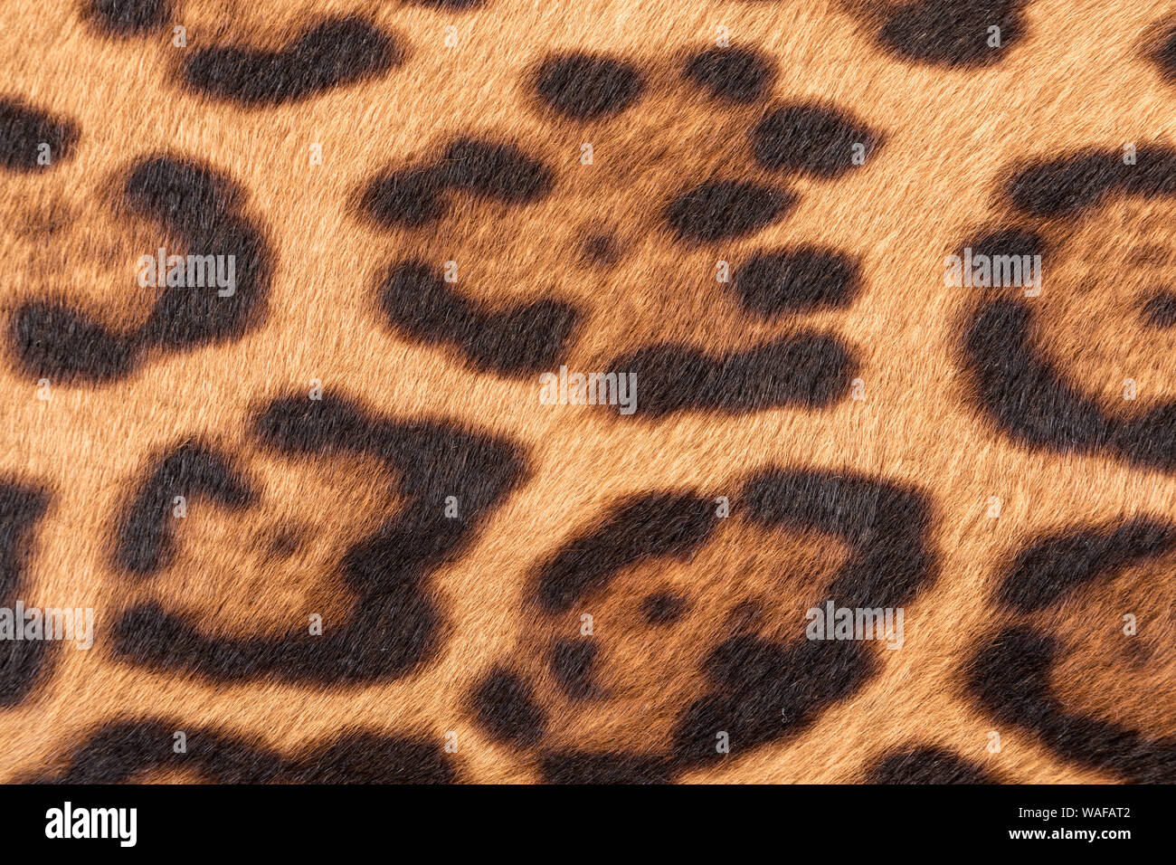 Faux leopard fur texture background Stock Photo - Alamy