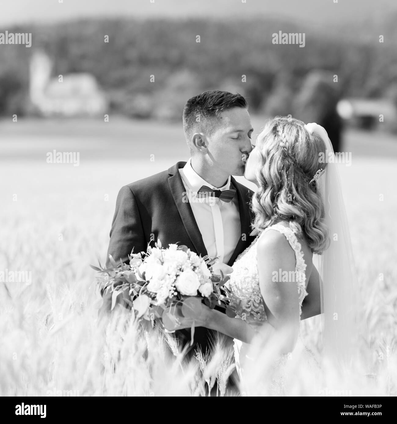 Bride and groom kissing and hugging tenderly in wheat field somewhere in countryside in Slovenian . Caucasian happy romantic young couple celebrating Stock Photo