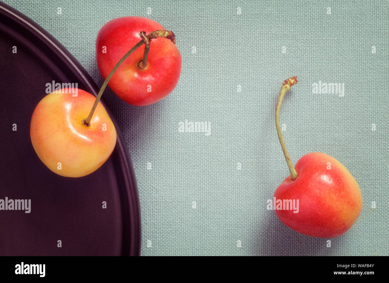 Three Rainier Cherries on green linen table cloth Stock Photo