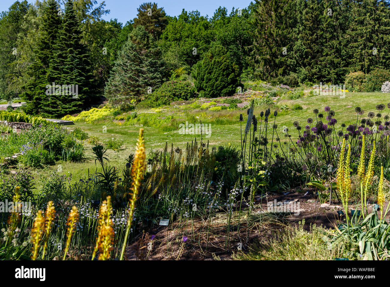 Beautiful landscape design in the Botanical garden of Tallinn, Estonia Stock Photo