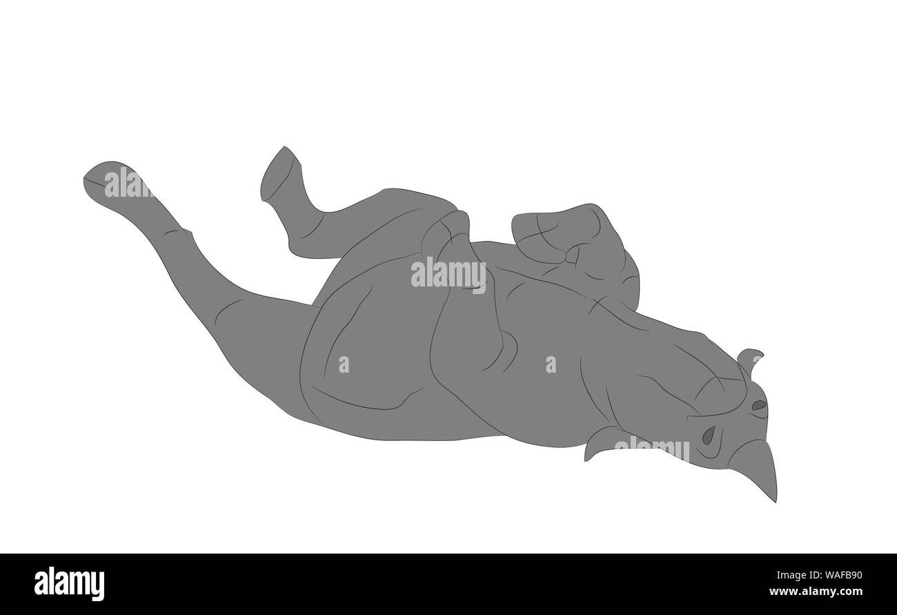 vector illustration of rhino that lies, drawing color, vector, white background Stock Vector