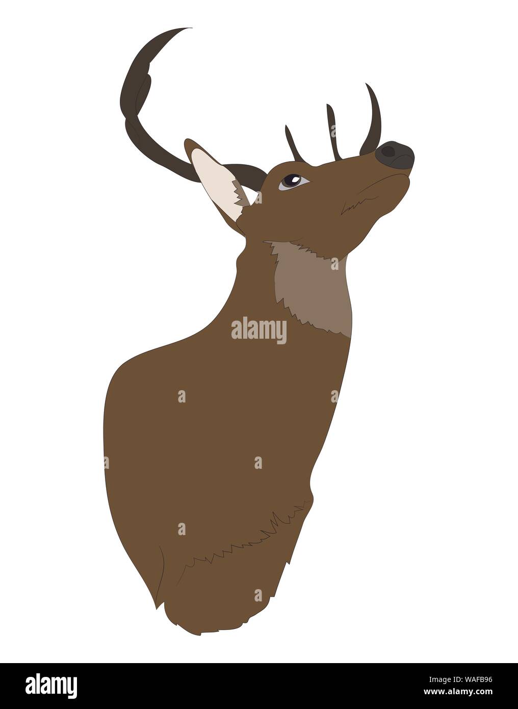 vector illustration deer portrait,color drawing, vector, white background Stock Vector