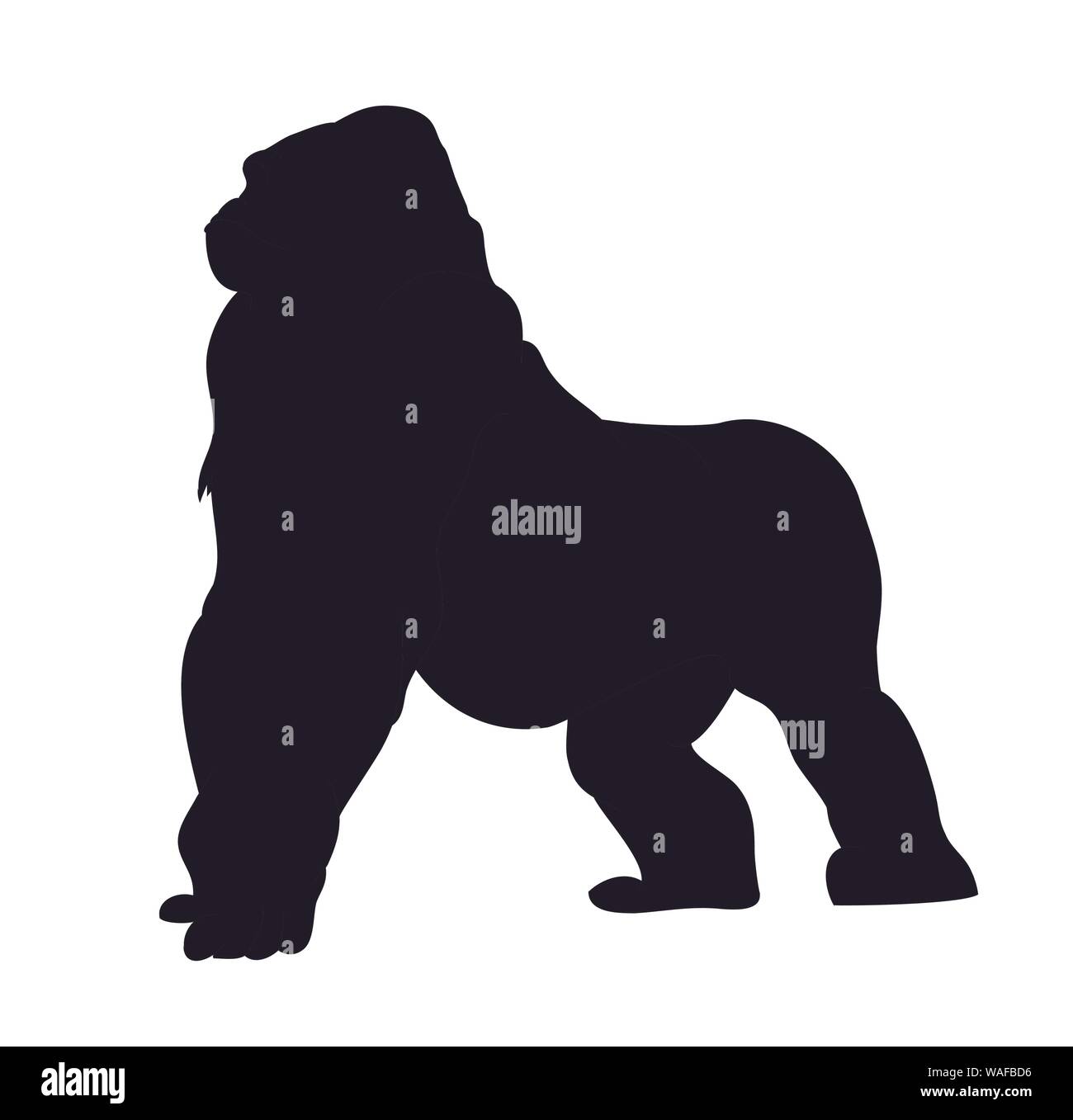 vector illustration of a gorilla, drawing silhouette, vector, white background Stock Vector