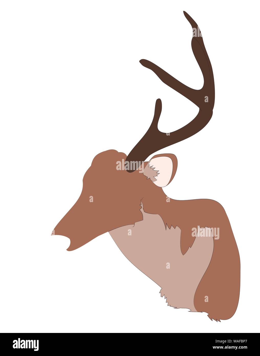 vector illustration deer portrait,color drawing, vector, white background Stock Vector