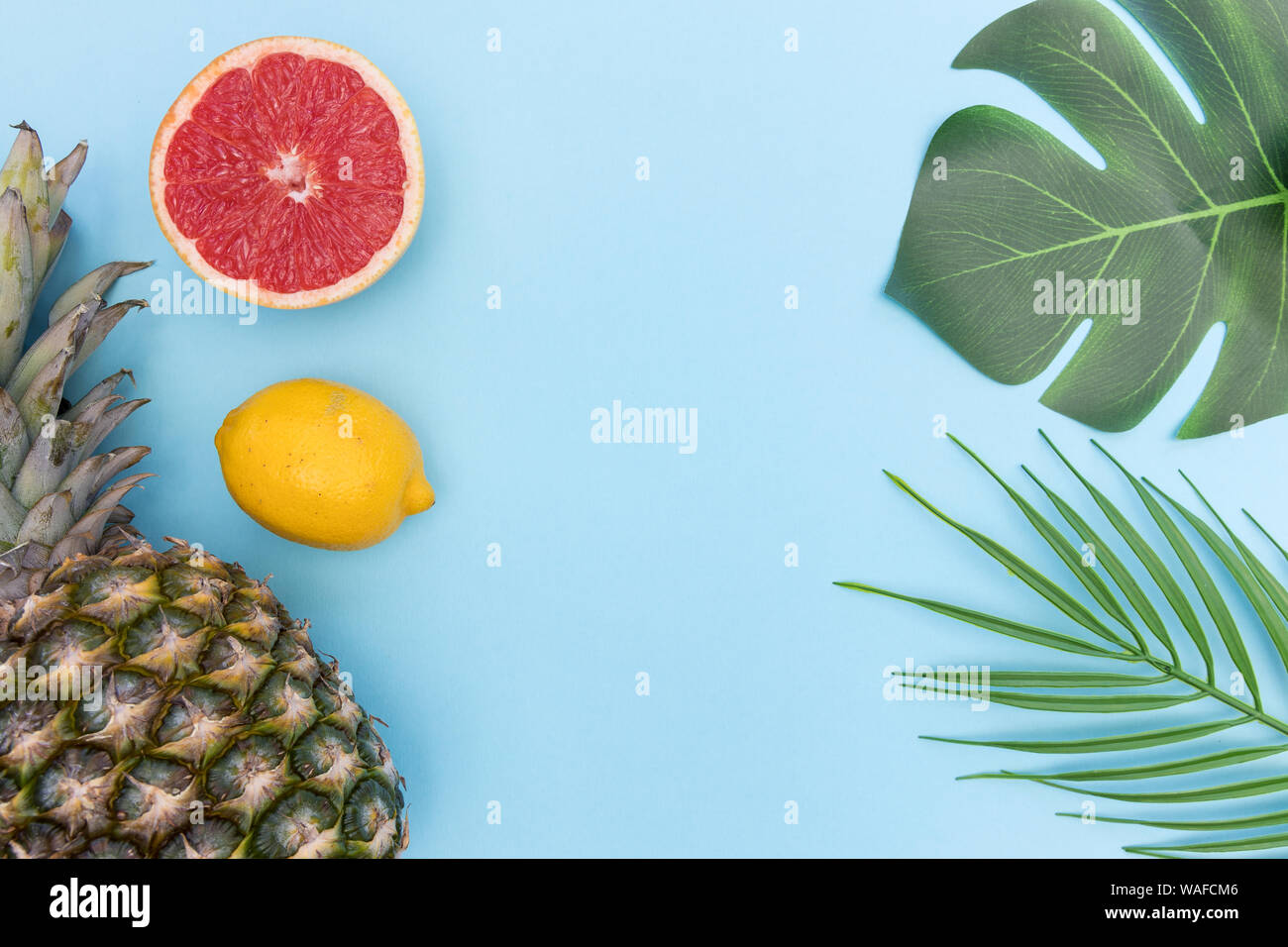 Tropical fruit with plant leaves pineapple grapefruit minimal food summer plant leaves bright blue color background Stock Photo