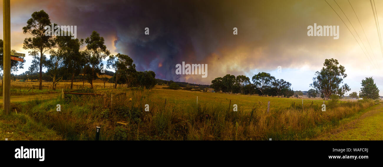 Bush fire, smoke and grass burning,  in Tynong, Victoria, Australia Stock Photo