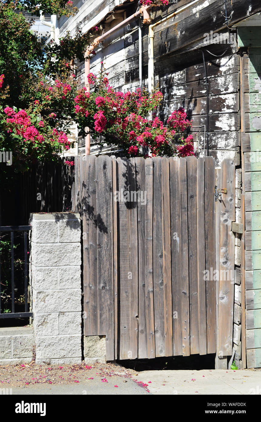 Weathered wood gate with backdrop of pink flowers provides side entrance to a weathered wood building, Locke, California Delta, California, USA Stock Photo