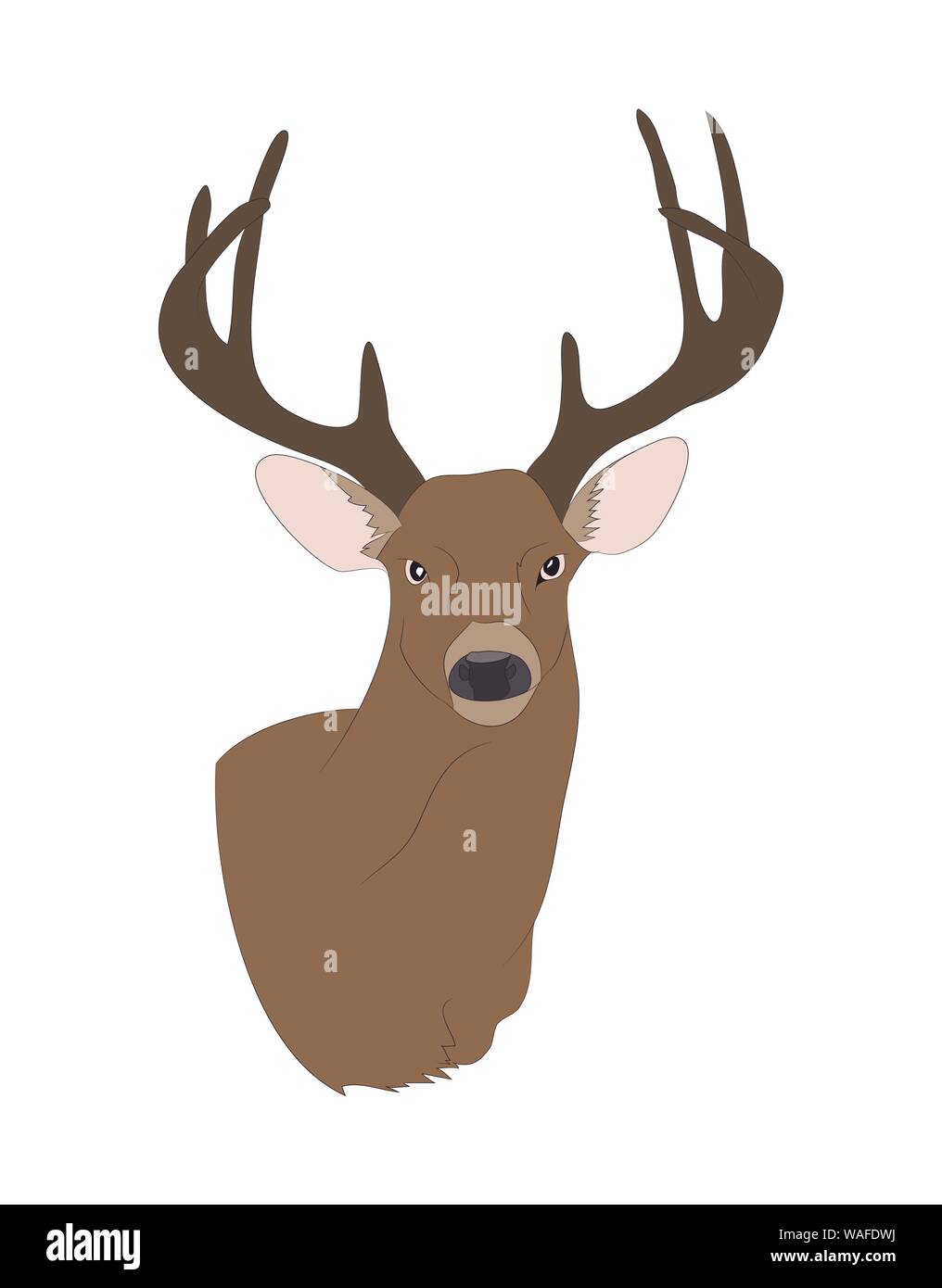 vector illustration deer portrait,color drawing, vector, white background Stock Vector