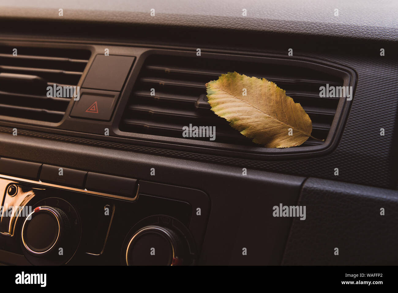 A small golden leaf flew into the car. Yellow leaf lying on the ventilation system inside of the car. Autumn concept. Stock Photo