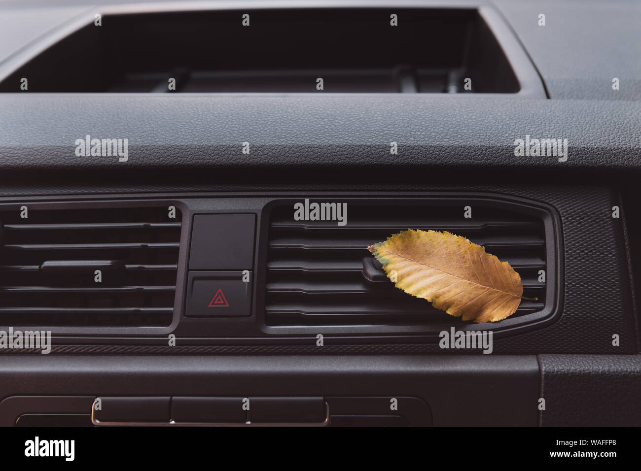 A small golden leaf flew into the car. Yellow leaf lying on the ventilation system inside of the car. Autumn concept. Stock Photo