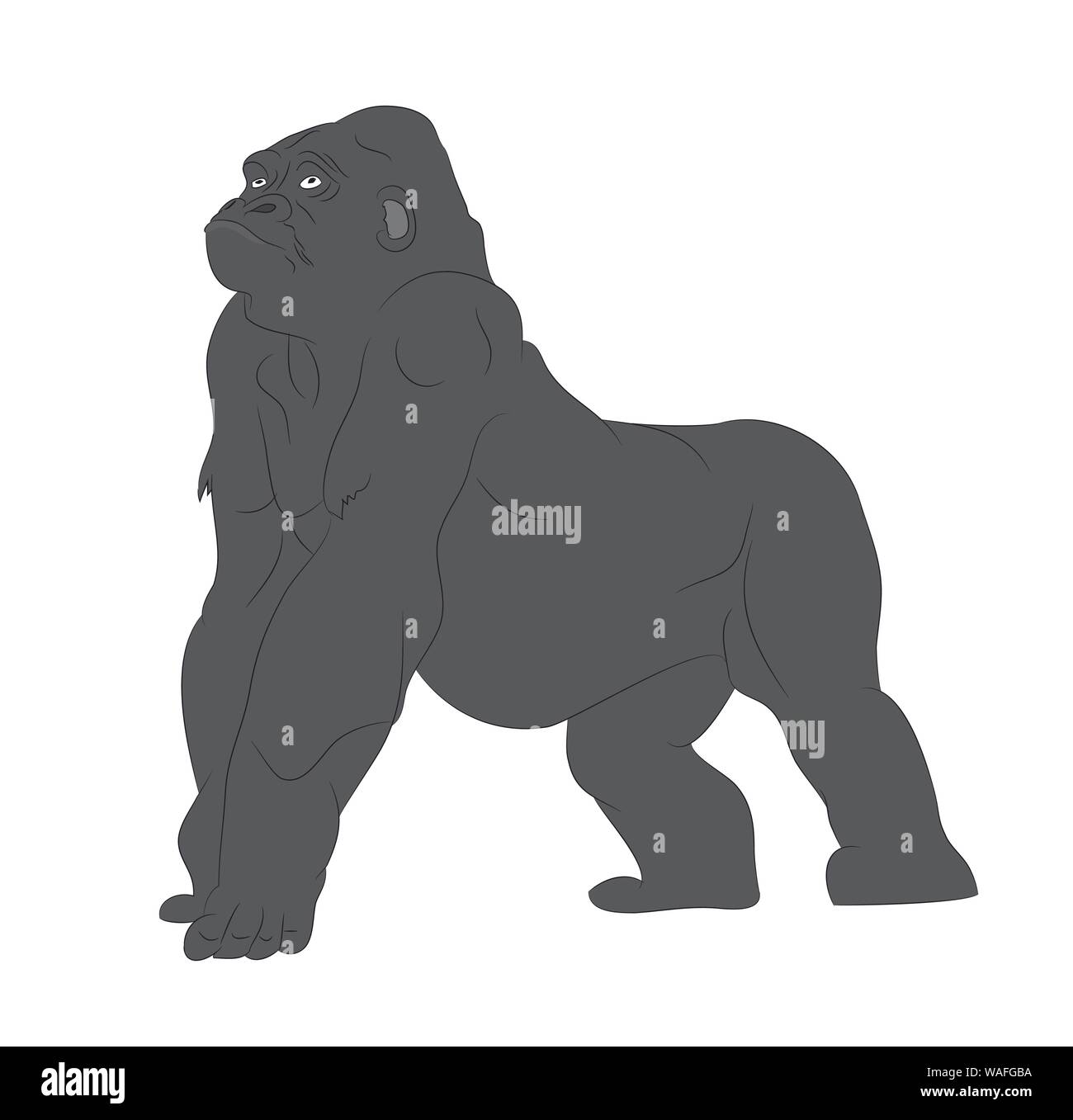 vector illustration of a gorilla, drawing color, vector, white background Stock Vector