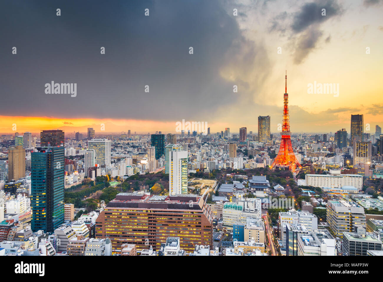 Tokyo, Japan famous skyline with the tower at dusk. Stock Photo
