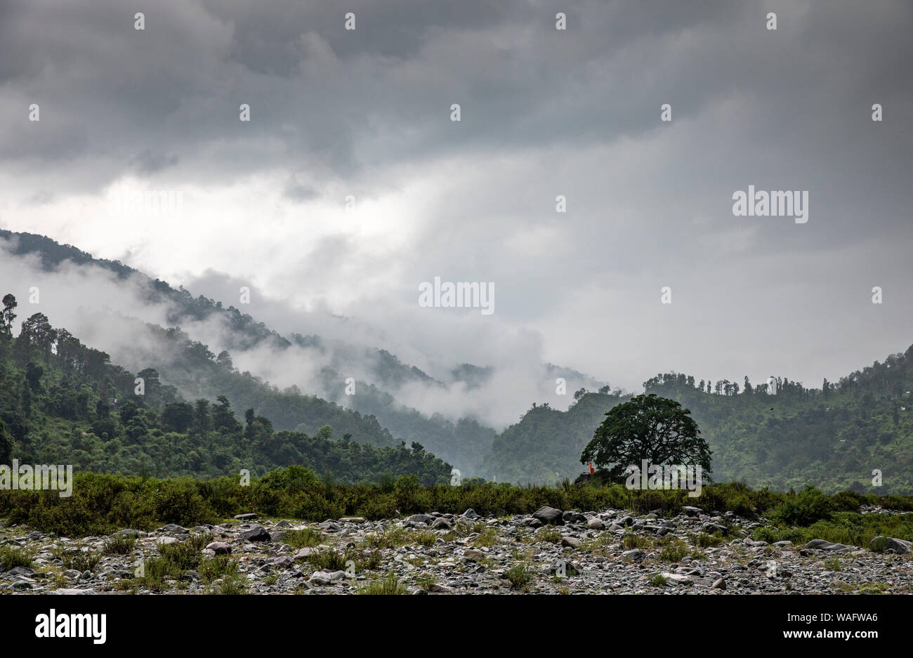 Nature of Haidakhan Valley at the back of Babaji Ashram Stock Photo