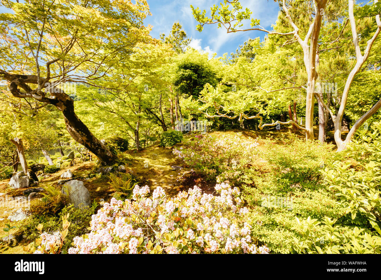 Tenryu-ji Garden and Temple Kyoto Japan Stock Photo