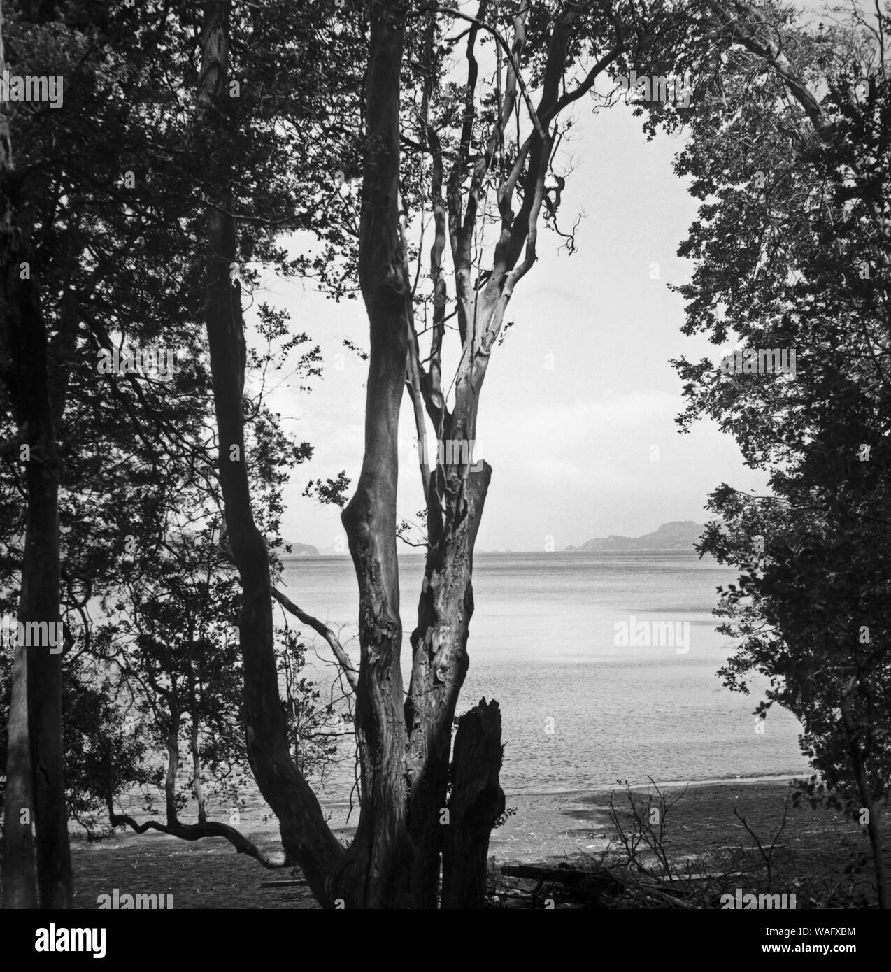 Rund um den See Nahuel Huapi in Patagonien in Argentinien, 1957. Round lake Nahuel Huapi in Patagonia, Argentina 1957 Stock Photo