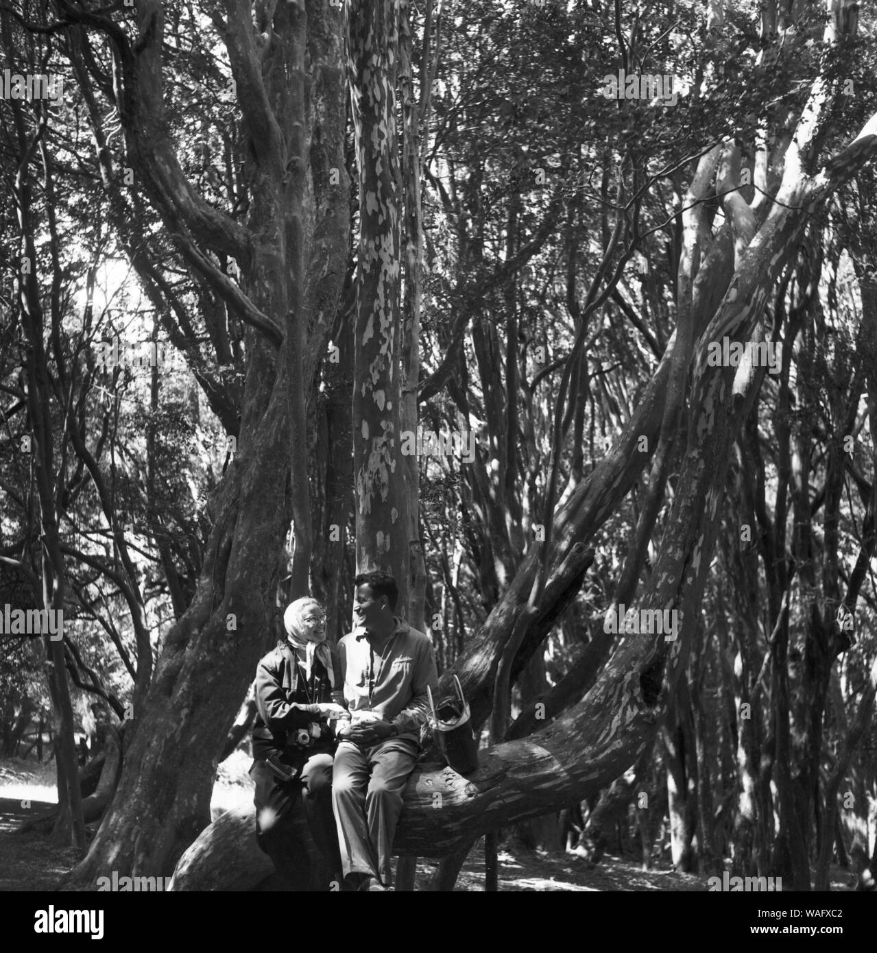 Rund um den See Nahuel Huapi in Patagonien in Argentinien, 1957. Round lake Nahuel Huapi in Patagonia, Argentina 1957 Stock Photo