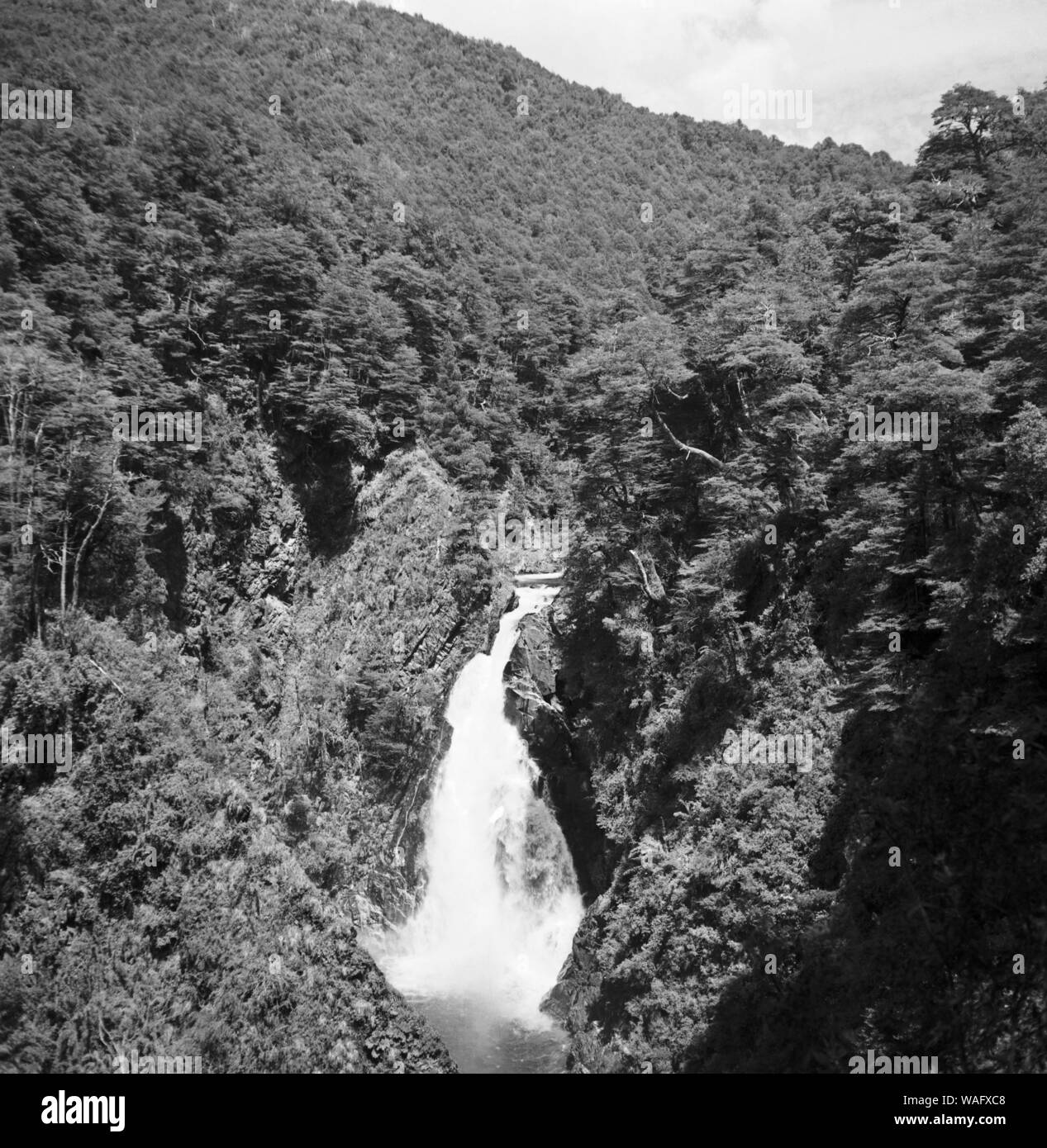 Rund um den See Nahuel Huapi in Patagonien in Argentinien, 1957. Round lake Nahuel Huapi in Patagonia, Argentina 1957 Stock Photo