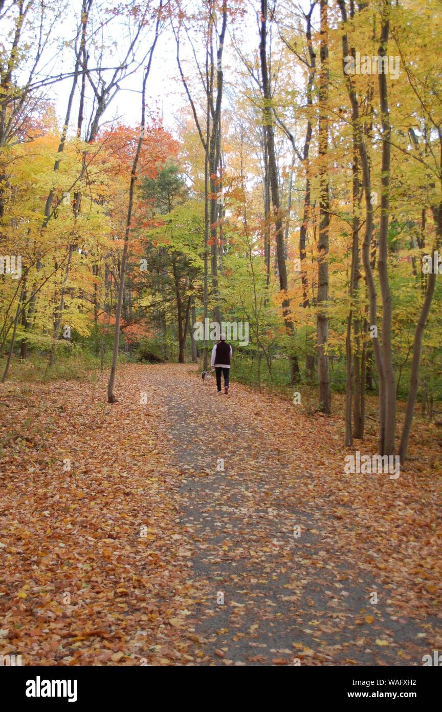 autumn landscape with colorful trees Stock Photo - Alamy