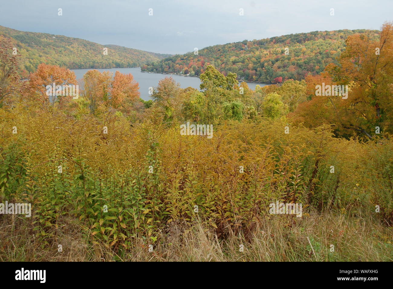 autumn landscape with lake and trees Stock Photo - Alamy