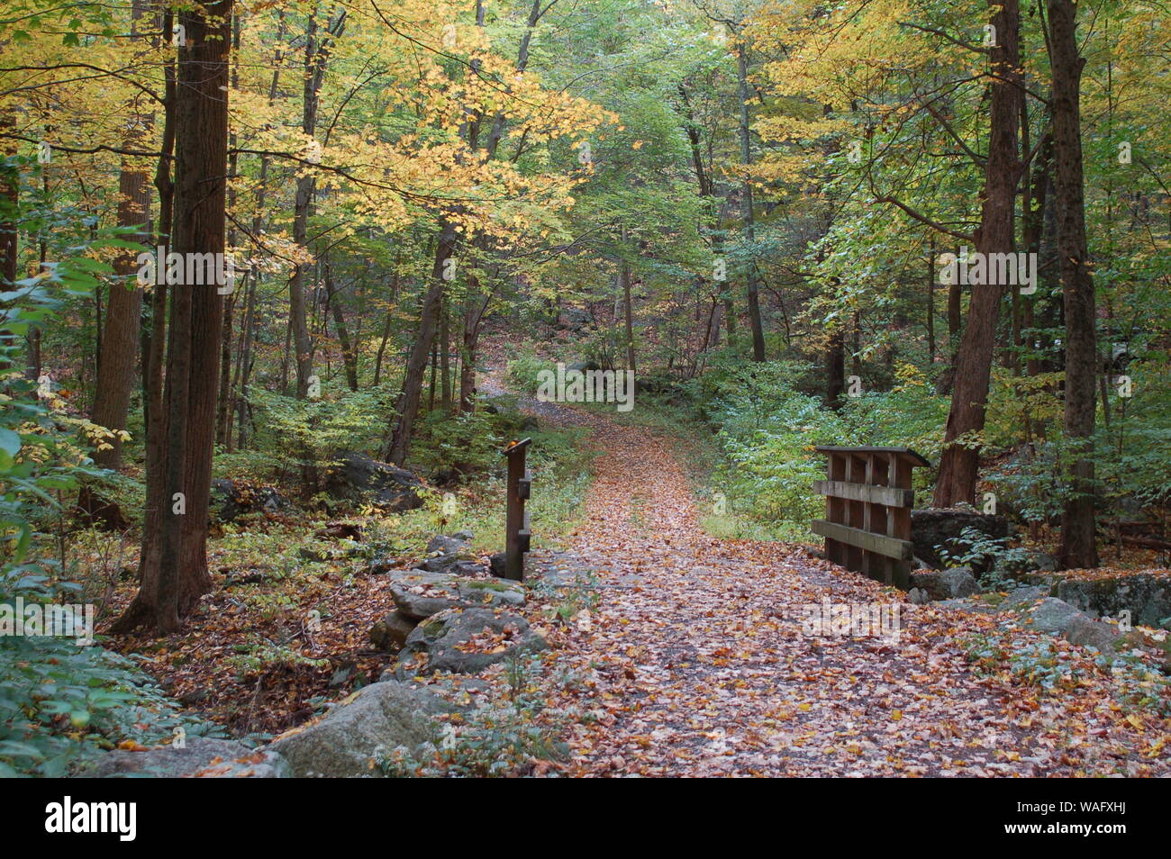 autumn landscape with colorful trees Stock Photo - Alamy