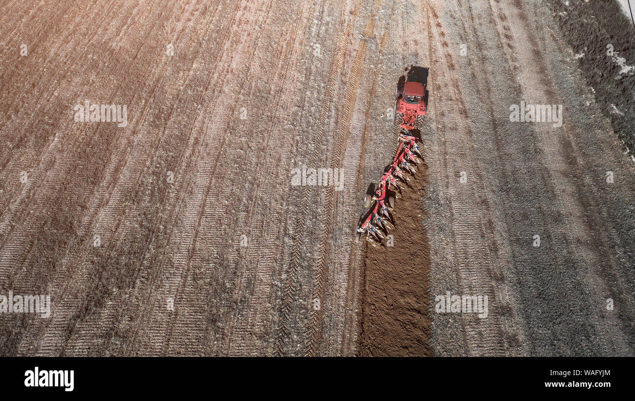 red tractor plowing field at dawn aerial view from above with drone ...