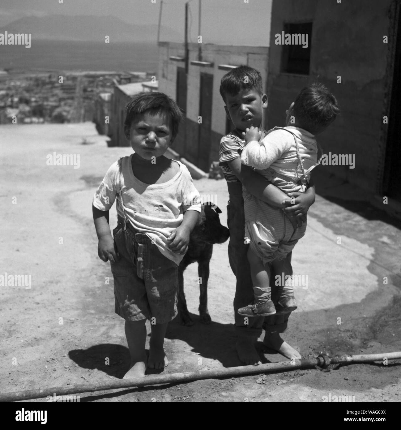 Kinder in der Stadt Valparaiso in Chile, 1957. Children of the city of