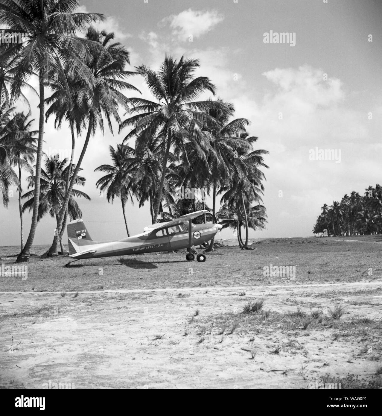 Kokospalmen auf dem San Blas Archipel, Karibik 1957. Coconut palm trees at San Blas archipelago, The Caribbean 1957. Stock Photo