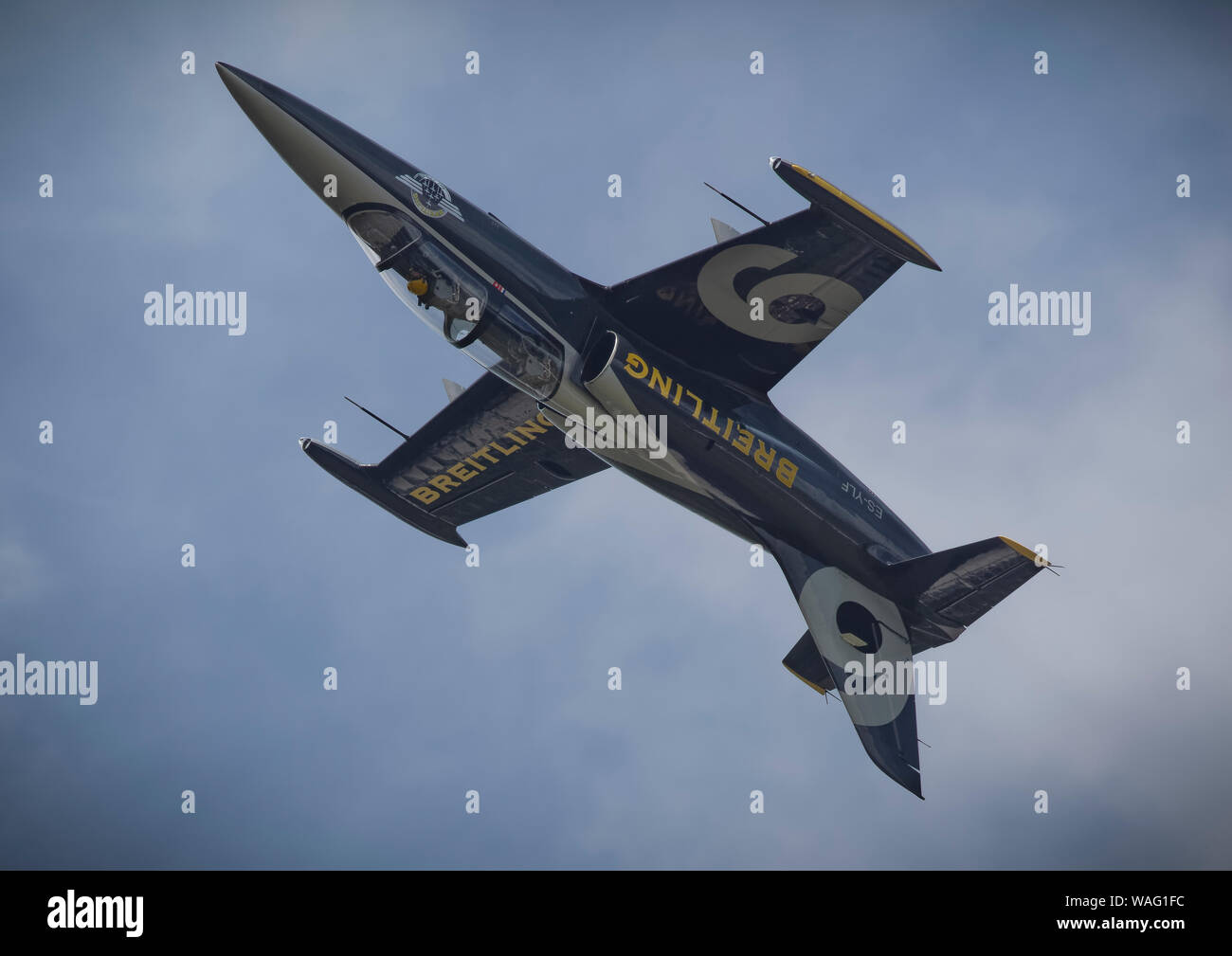 L 39 albatros hi-res stock photography and images - Alamy