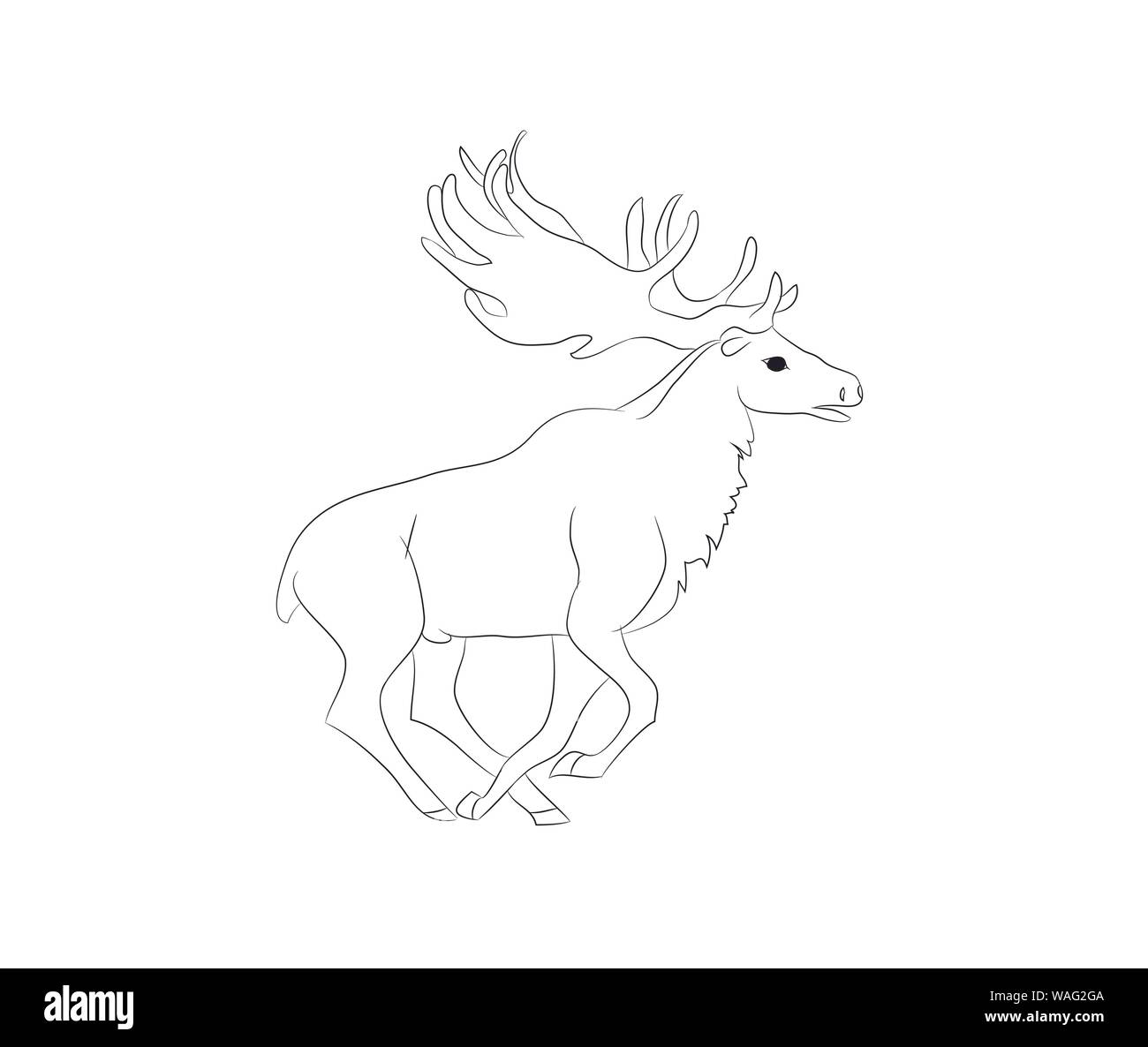 Vector Illustration Deer Running Vector Drawing Lines White Background Stock Vector Image Art Alamy