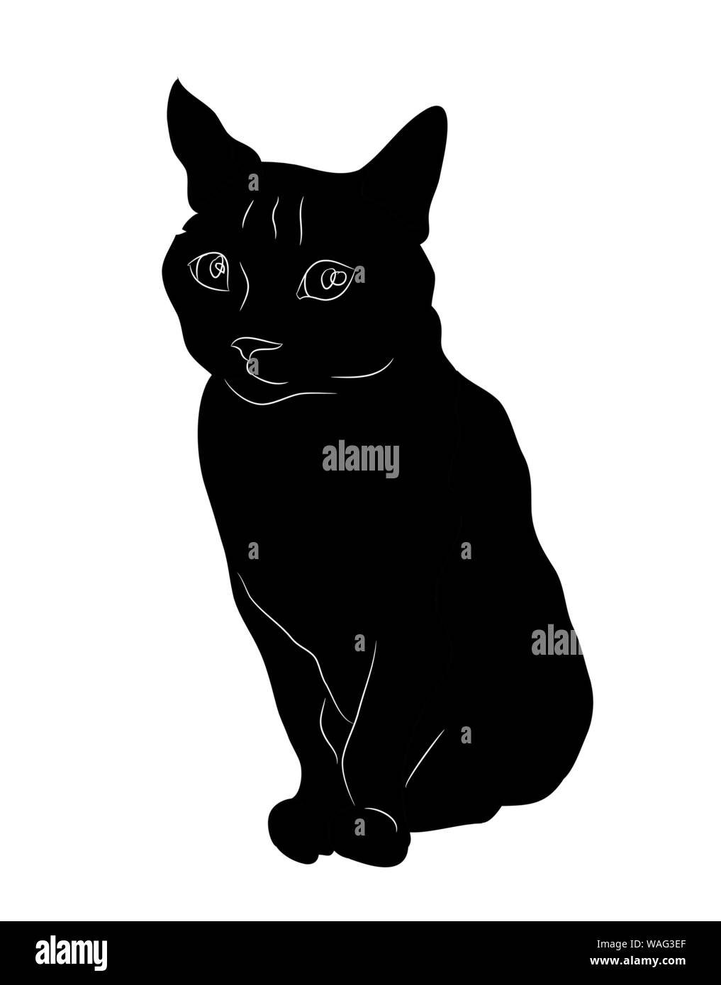 how to draw cat sitting side view