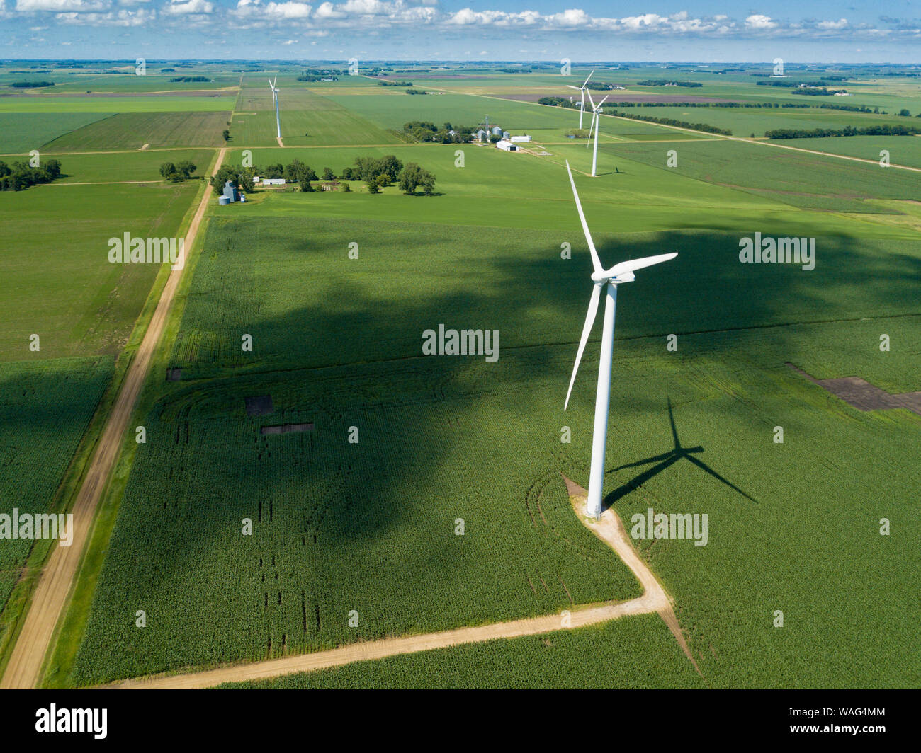 Aerial view of wind turbines turning in corn field on the border of