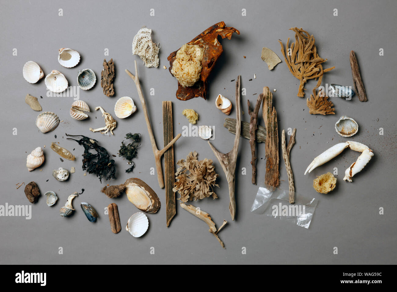 Beach finds including a plastic item. Stock Photo