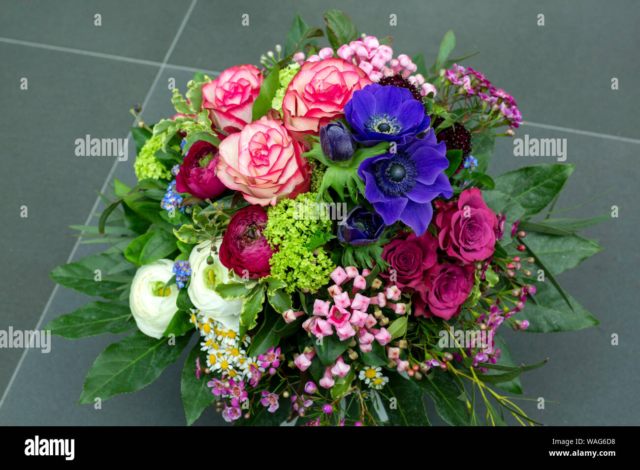 Anemone, blossom, calyx, flower splendour, period of bloom, flower, flower arrangement, calyx, bouquet, botany, DE, DEU, Germany, Europe, colour photo Stock Photo