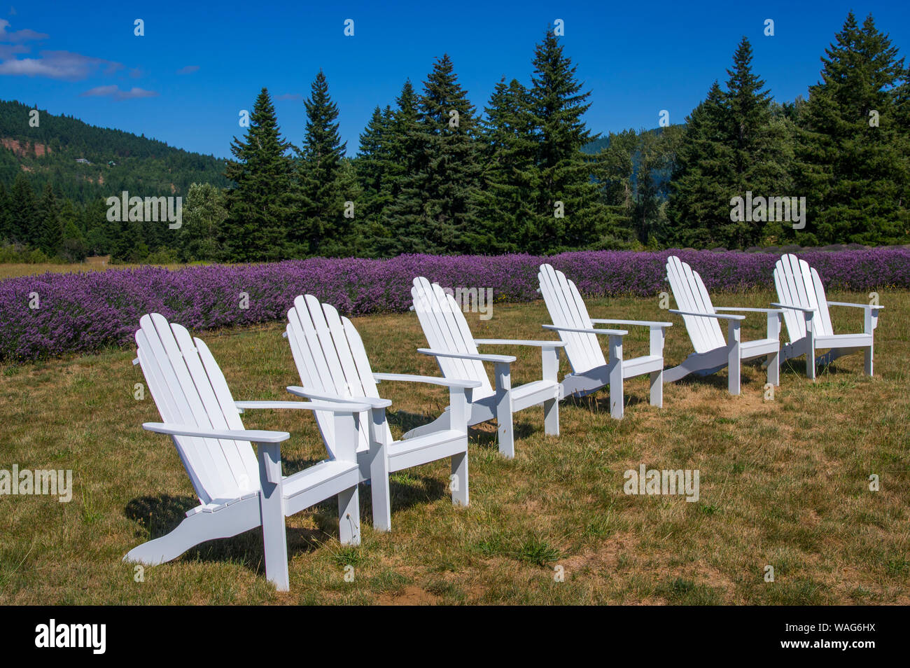Adirondack foothills hires stock photography and images Alamy