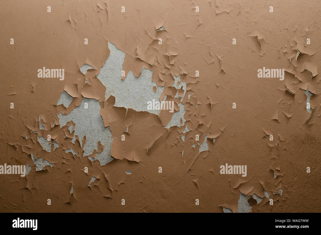 Big Wet Spots And Cracks On The Ceiling Of The Domestic