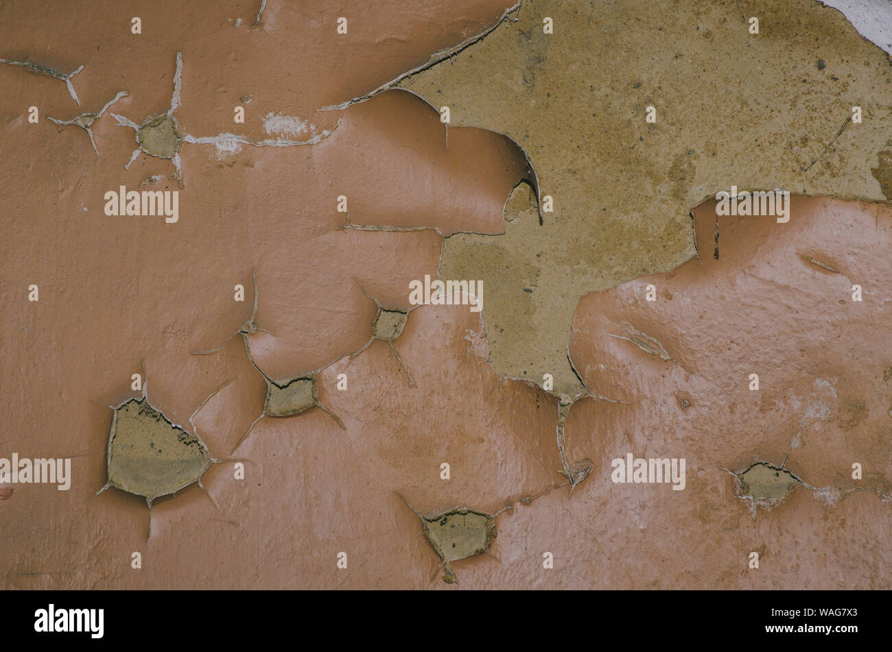 Big Wet Spots And Cracks On The Ceiling Of The Domestic