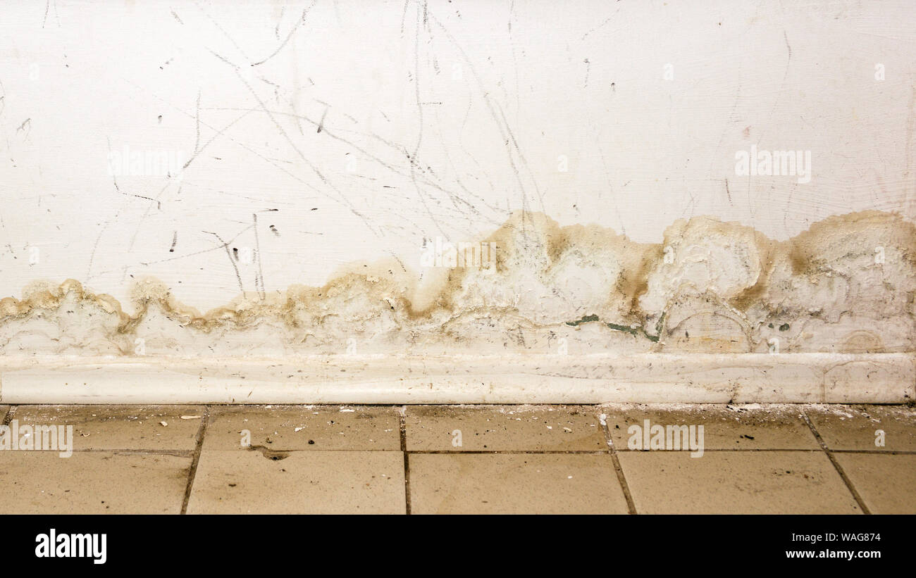 Big wet spots and cracks and black mold on the wall near flour in