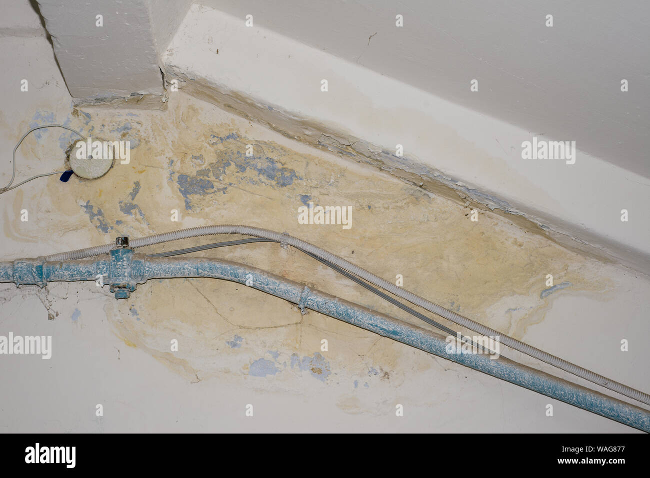 Wet spots hires stock photography and images Alamy