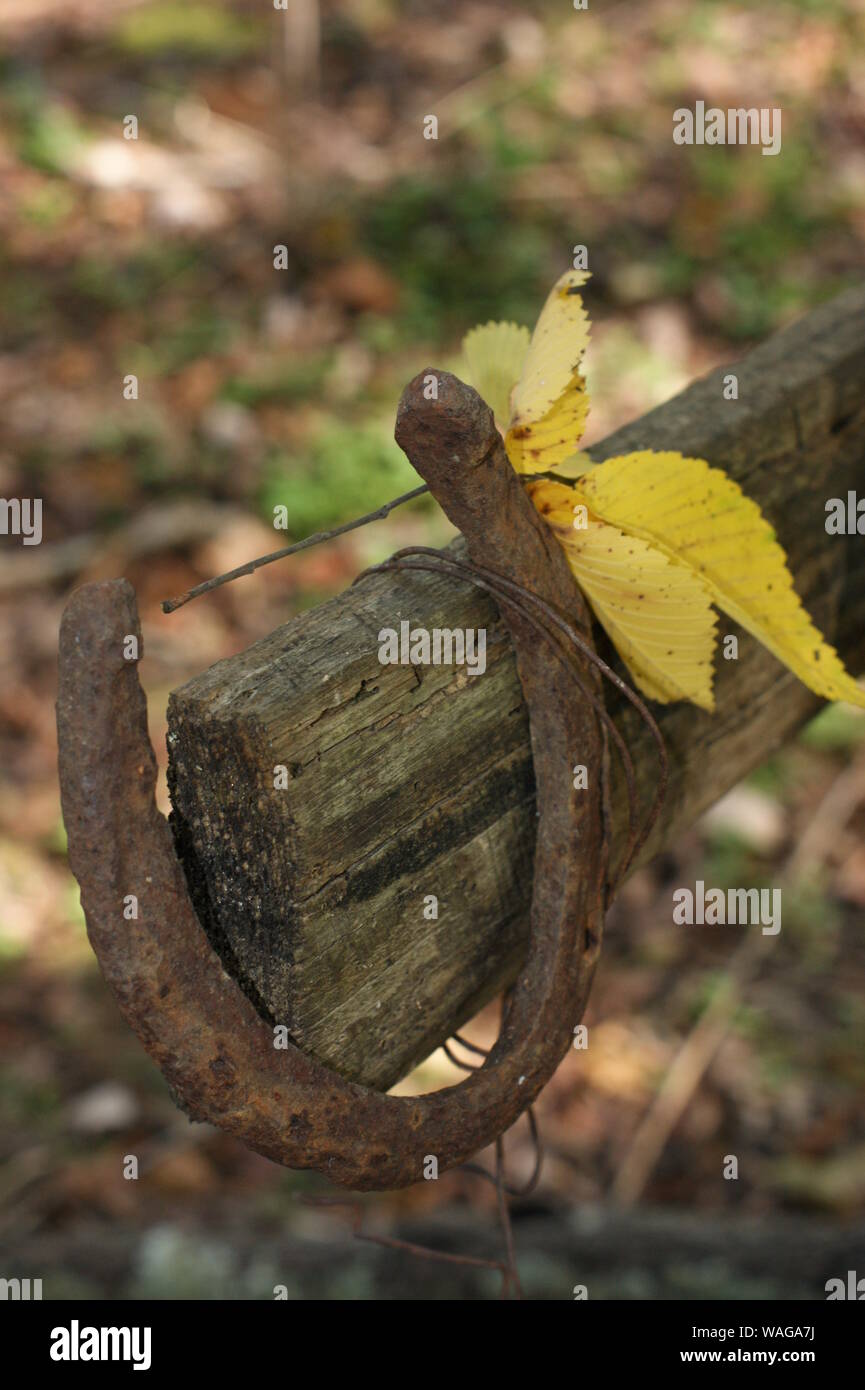 Vintage horse tack hi-res stock photography and images - Alamy