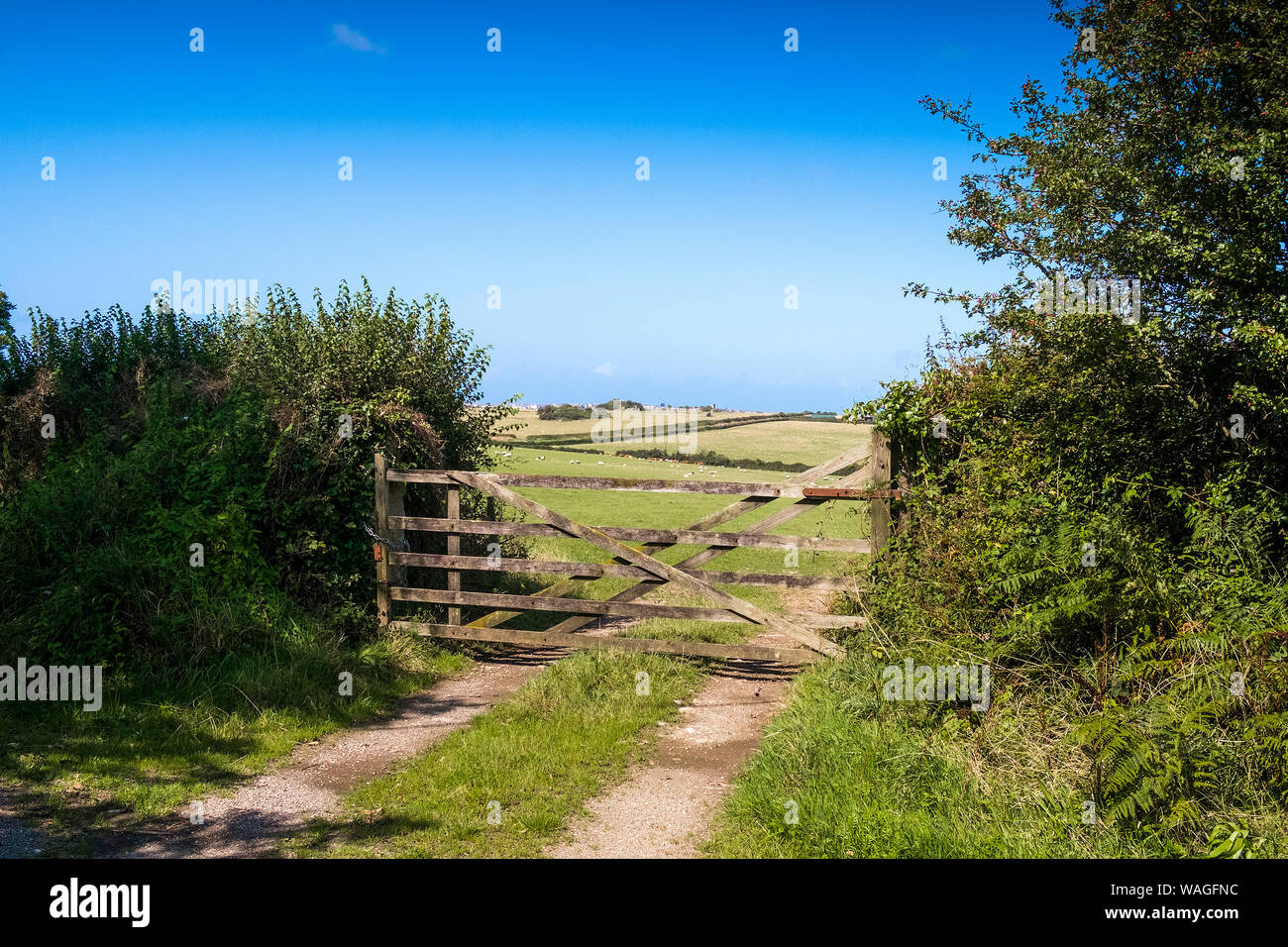 A rustic wooden five bar gate in a field in the Cornish countryside. Stock Photo