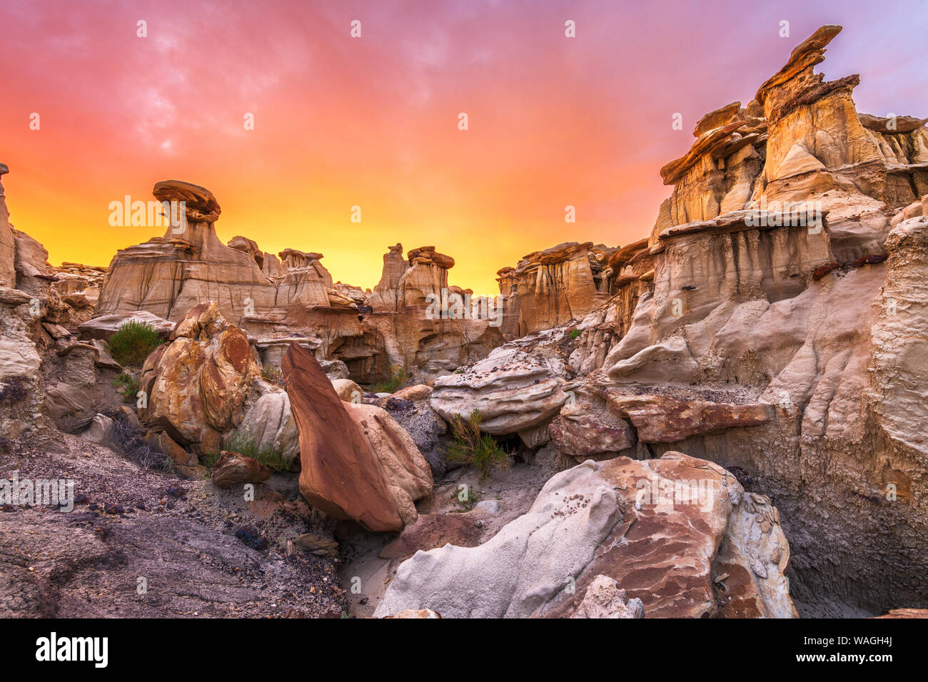 Bisti/De-Na-Zin Wilderness, New Mexico, USA at Valley of Dreams after sunset. Stock Photo