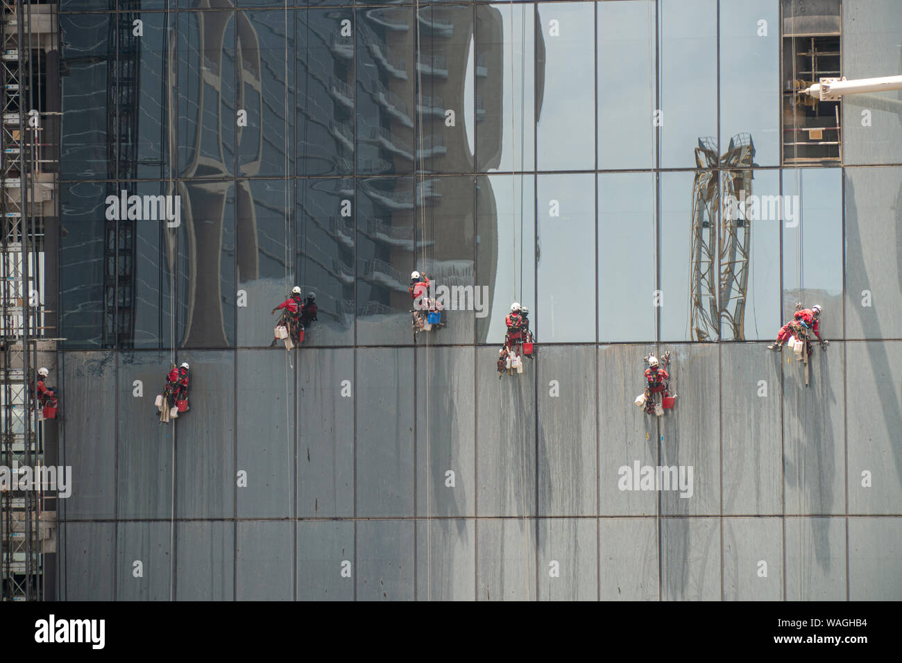 Group of workers cleaning the windows of a high rise building, dangling from secure ropes. Washing the windows of a skyscraper, view of clean and dirt Stock Photo